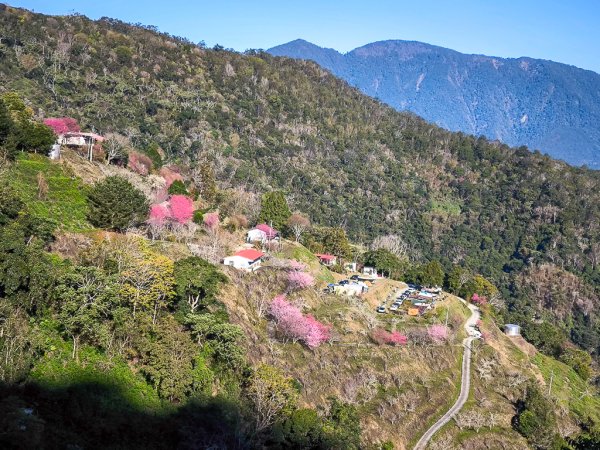 2025-02-16 巴蜈縱走2714308