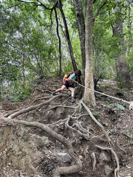 唐麻丹+蝴蝶谷O繞2887853