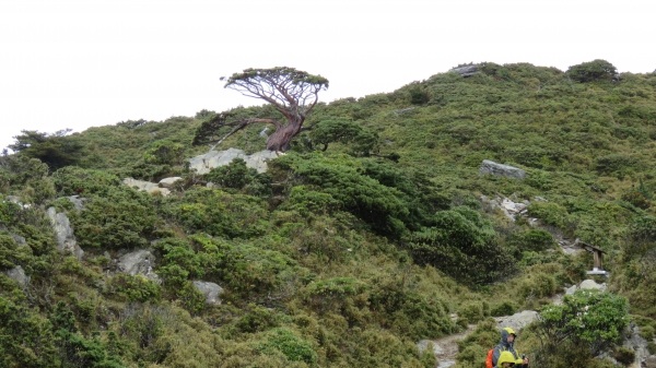 風雨中朦朧的嘉明湖19528