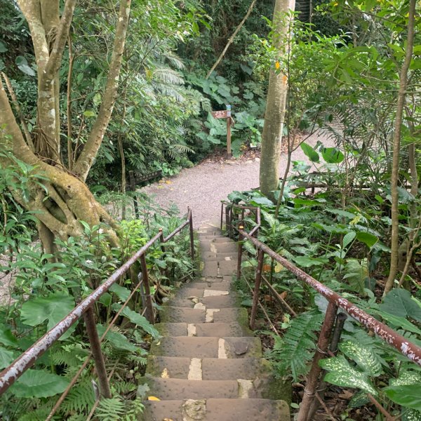 20200129麟光站到中華科大817845