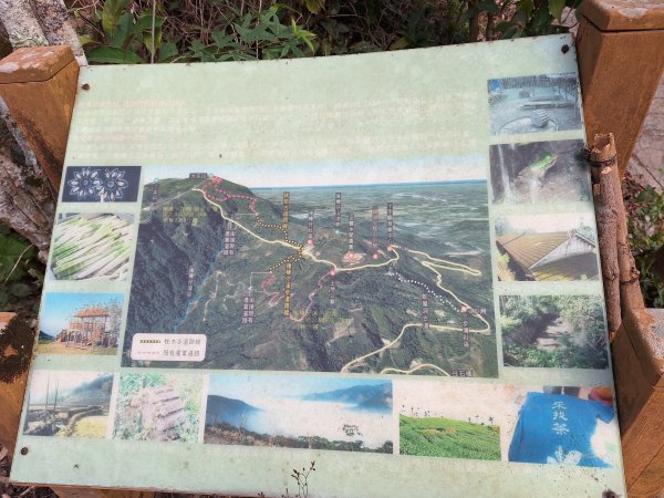雲嘉大尖山(挑筍古道上)11502093045215