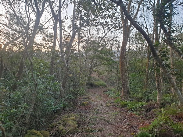 飛沙17連峰2701044