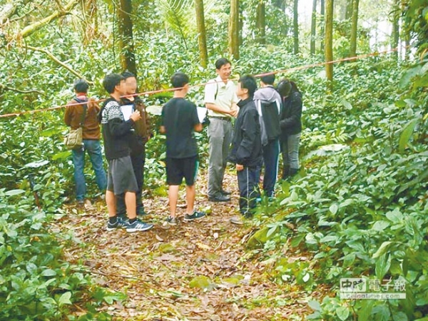 【新聞】扯 雲林生態寶地慘變螢火蟲之墓 森林轉眼光禿禿