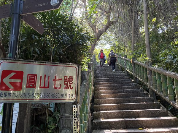 台北大縱走2026｜💎尋寶穿越蝴蝶蘭步道！第五段｜劍潭(山)→文間山→忠勇山→碧山巖3066725