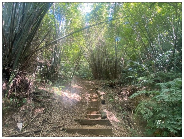 金龍湖、鷹石尖、老鷲尖、內溝山 O型一圈2966589