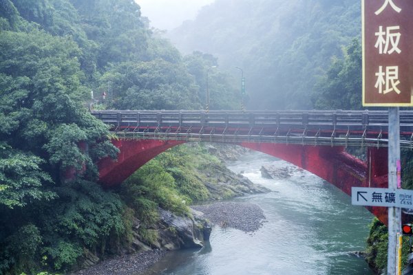 東眼山雨中尋幽2975358