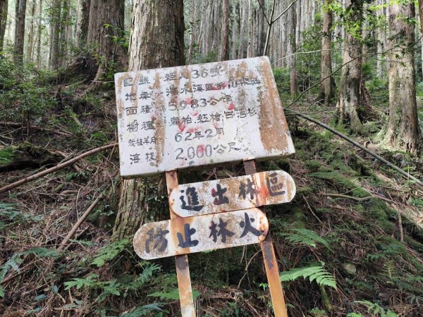 干卓萬群峰五天1141001~052906180