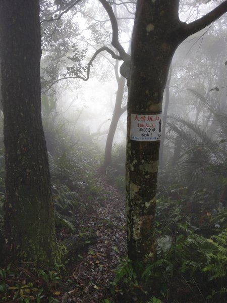 石牛山(小百岳)迷霧中登頂及陡坡探險之旅903849