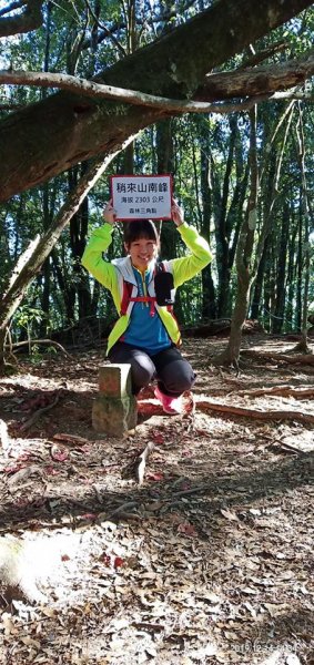 108.12.14台中稍來山（紅榨槭，夕776880