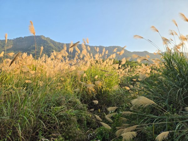 2025-12-30  南化牛港嶺點將石2972706