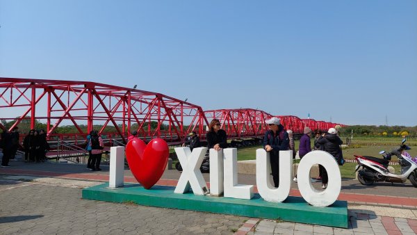 療癒森呼吸，阿里山三日行2764430