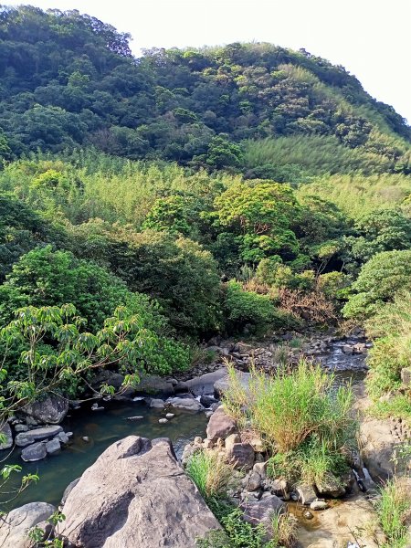 礁坑橋→平溪步道→鵝尾山步道、水田→平菁街42巷→狗殷勤古道的竹林步道→尾崙古圳步道→福音公車站2084326