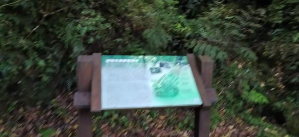 臺北大縱走第二段（1）1307699