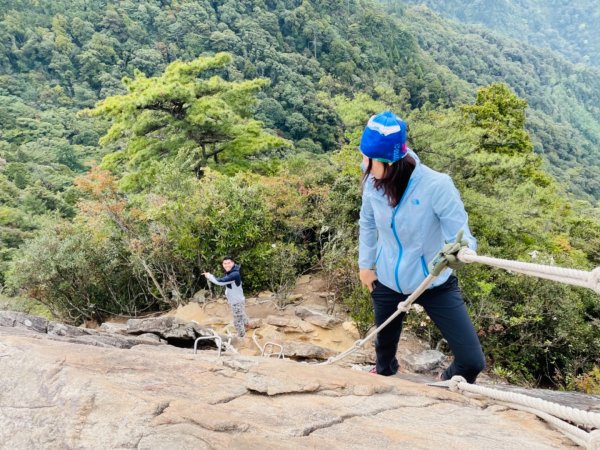 鳶嘴賞高山杜鵑1355774