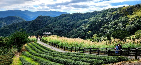 皇帝殿，坪林獅公髻尾山，文山指南宮千階步道（竹柏參道），十六分山，貓空尖，絹絲瀑布步道1971278