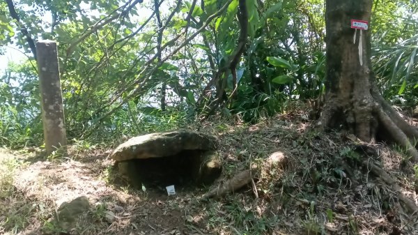 基隆市暖暖車站-暖壽山-暖東苗圃-頂寮山-清法戰爭砲台遺址-碇內3091326