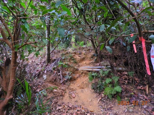 南投 埔里 舊武界越山、板仔寮山1286580