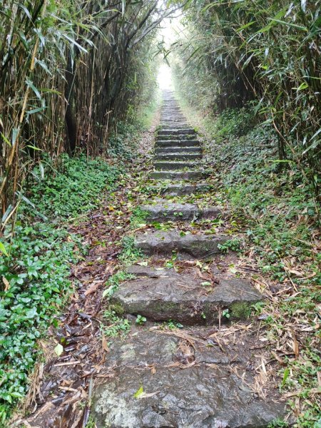 大屯主峰二子坪O型縱走2511219