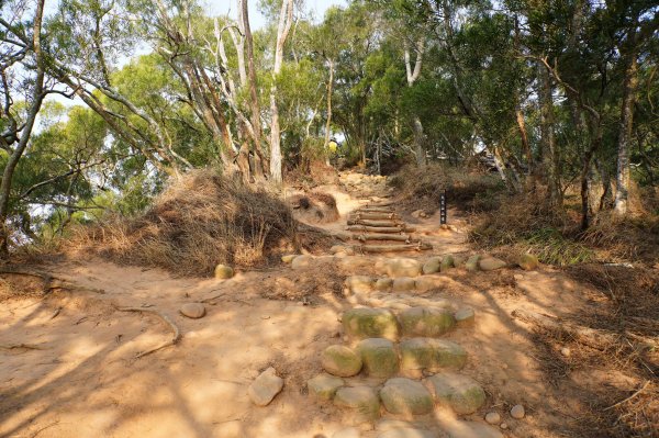 苗栗 三義 火炎山、南火炎山3020869