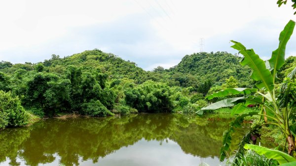 五堵獅頭山2810537