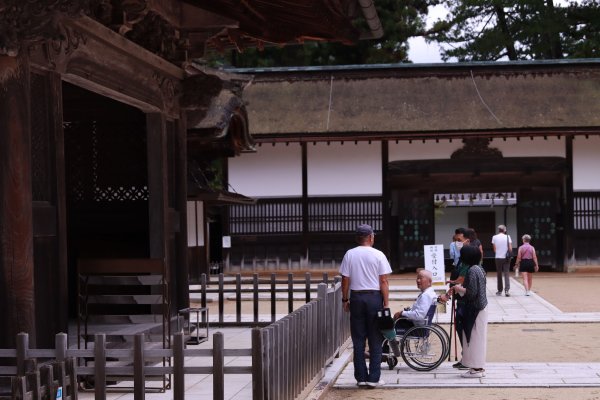 高野参詣道：不動坂に始まり祈りは奥の院へ2923233