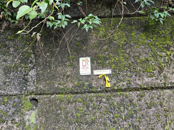 2025_0601 赫威山2802292