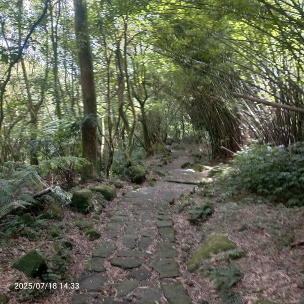 绢絲瀑布步道2840515