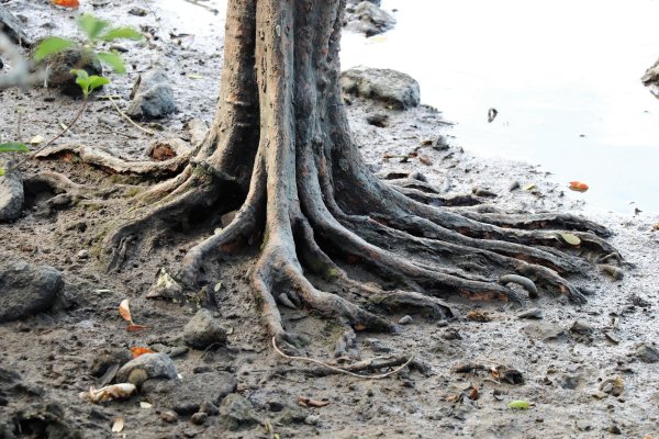 HK - 老人石河1446526