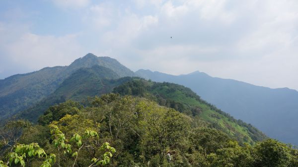 真笠東北峰-鱈葉根山109864