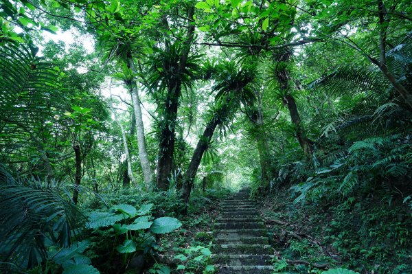 新北 石碇 皇帝殿東峰2628210