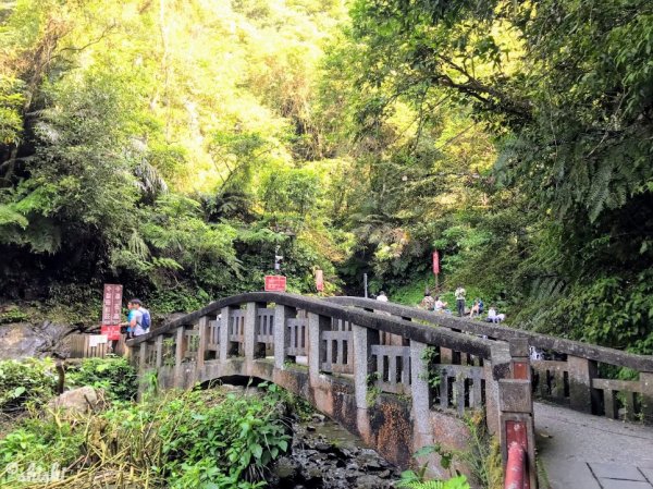 ●玩水●獼猴●賞蝶「聖母山莊步道」630422