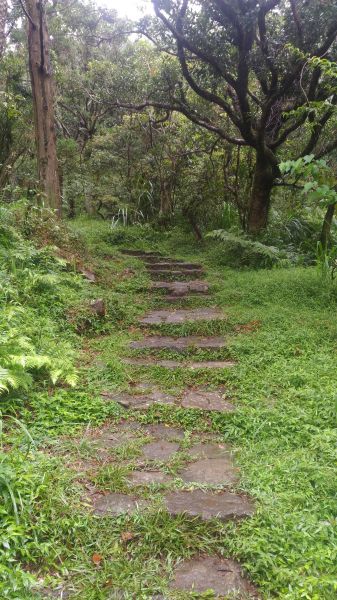 前往面天山的面天山-向天山步道174627