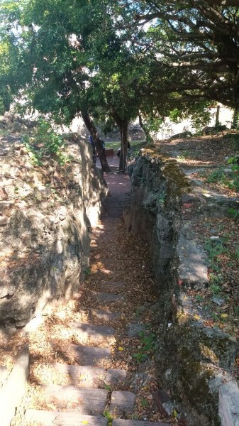 珊瑚公園步道(恆春猴洞山石牌公園)1864142