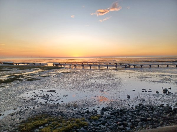 【苗栗新竹】通霄神社x通霄虎頭山步道x新竹香山濕地賞蟹步道2925440