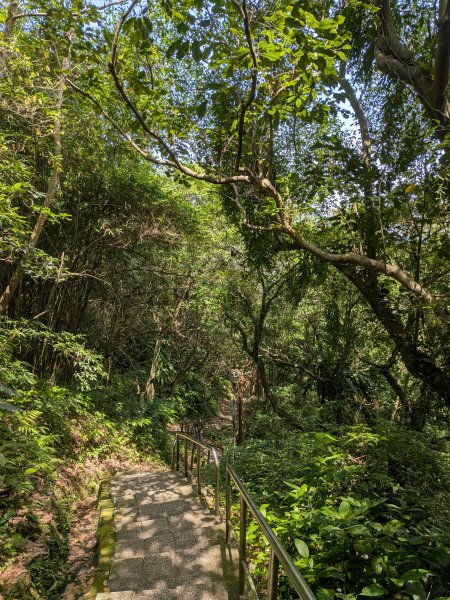 2025-06-01 五進五出九五峰2804169