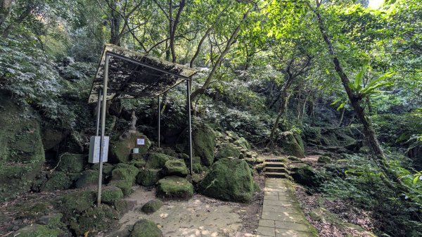 115.07.26孝子山-慈母峰-嶺腳瀑布-望谷瀑布之旅3091127