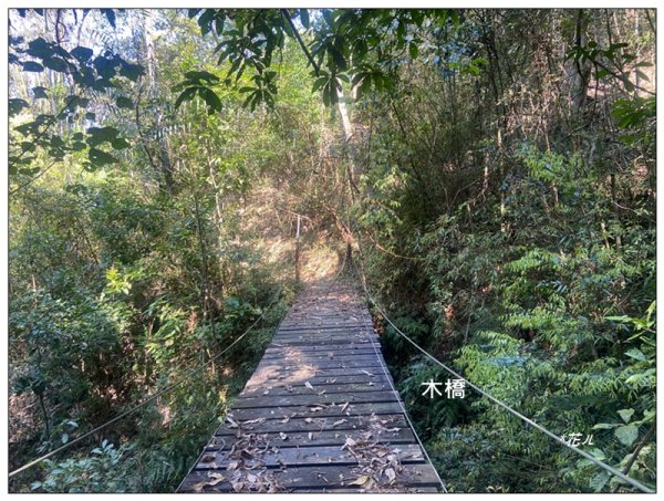 阿里眉山 (日月潭四姝的么妹)2753058