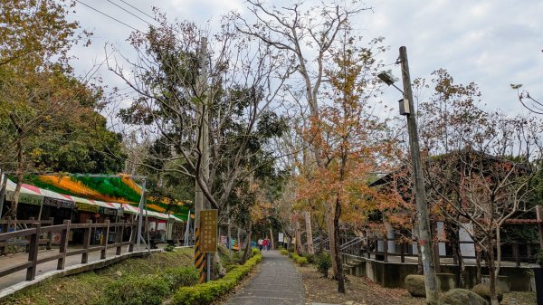 貓貍山.協雲宮,青青草原2701142
