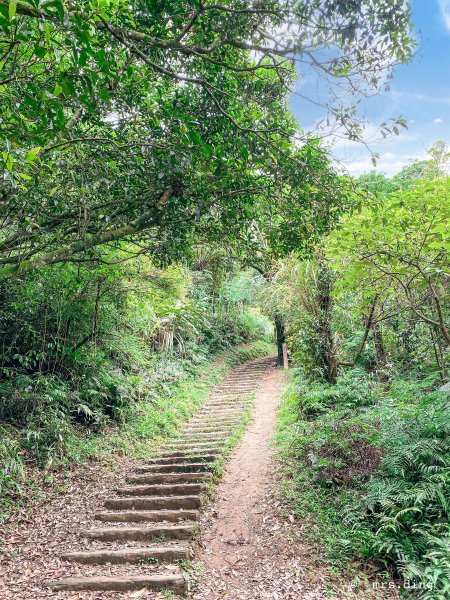 ＜小百岳＞基隆市．姜子寮山步道975001