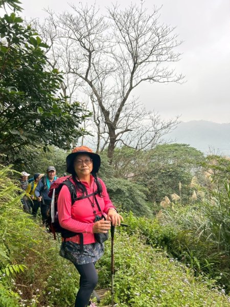紫微聖母環山步道走六寮崙山與西南峰2989182