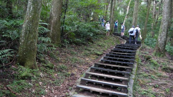 東眼山登山健行趣(小百岳22號)1544317