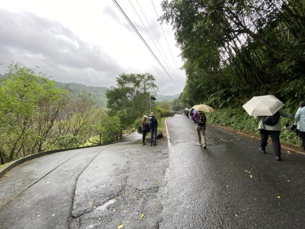 《2025草嶺古道芒花季｜雨天版完整攻略 × 七顆寶石路線實走》2949314