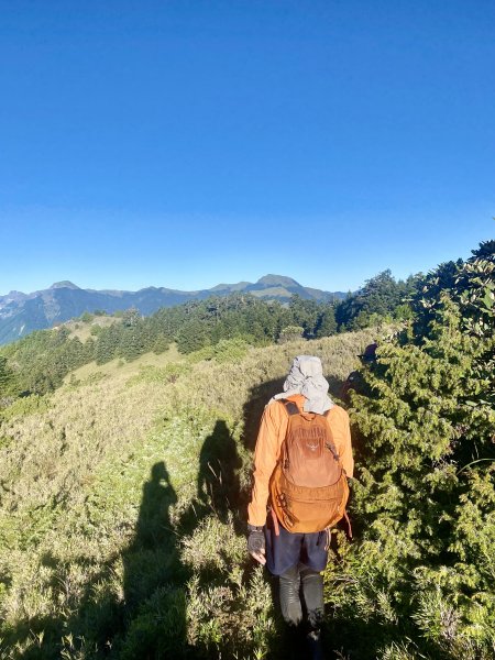 奇萊東稜翻山越嶺的淚與笑D4 2022/10/2—太魯閣北鞍營地至最低鞍營地1870792