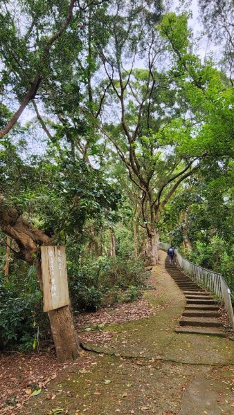 田中麒麟山連走田中森林公園北天宮O繞+ 田中大小劍逆走2756729