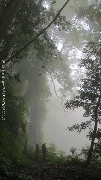 《雲林》望好望角｜石壁山嘉南雲峰步道(中側登山口）202506072805478