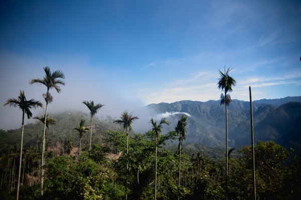 雲嘉七連峰 2025年12月2968906