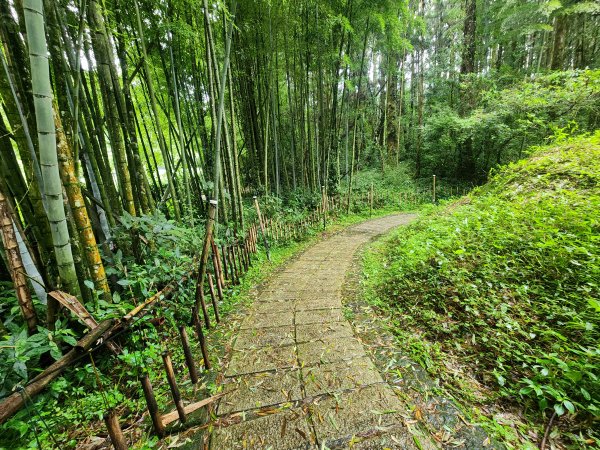 20250719頂湖上大凍山2907165