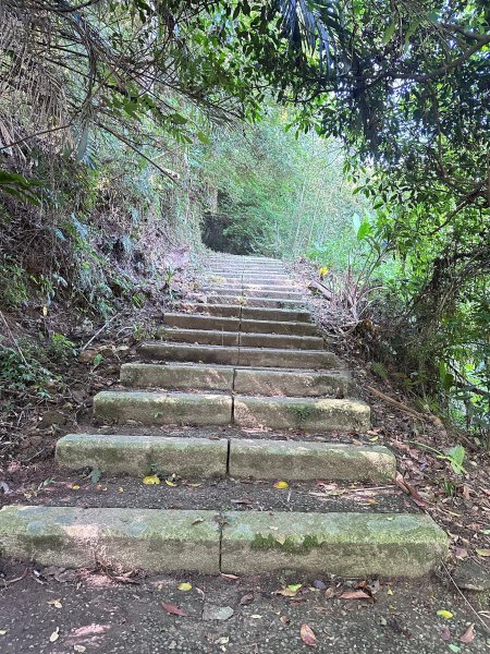 大分林山步道輕鬆走2558716