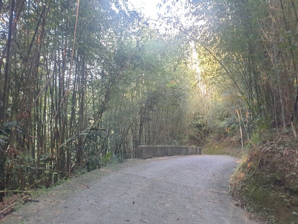 20220807馬都安古道、熊佧山、南勢山北峰、烏嘎彥竹林密境1817771