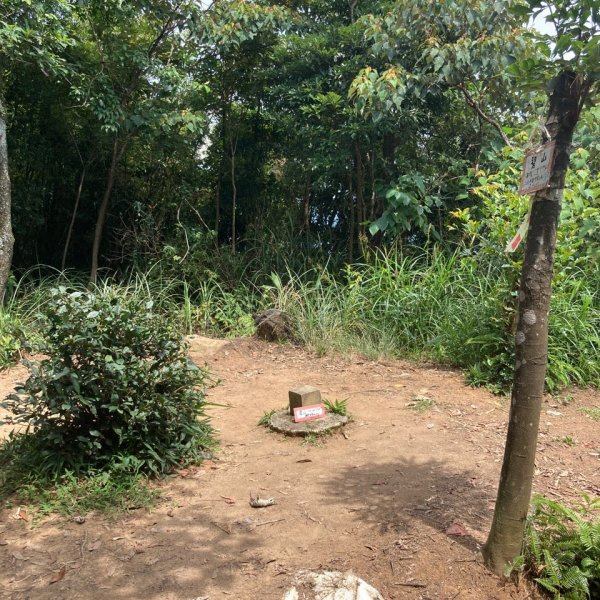 2022.07.31 【臺北大縱走第四段】大湖公園-風櫃嘴：圓覺寺瀑布、白石湖吊橋、碧山、梅花山1799365